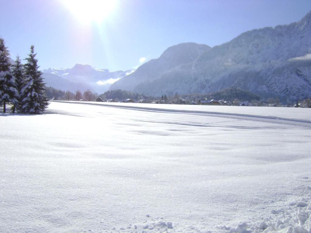 Apartmenthaus Hinterer Apartment Bad Goisern am Hallstättersee