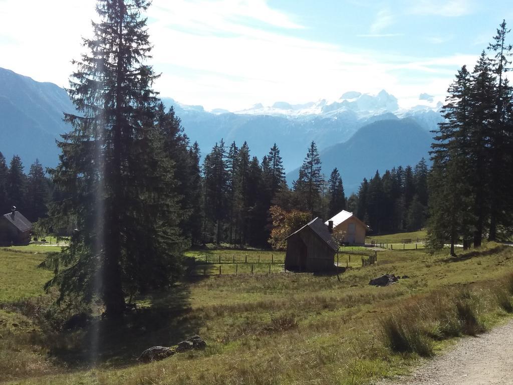 Apartmenthaus Hinterer Bad Goisern